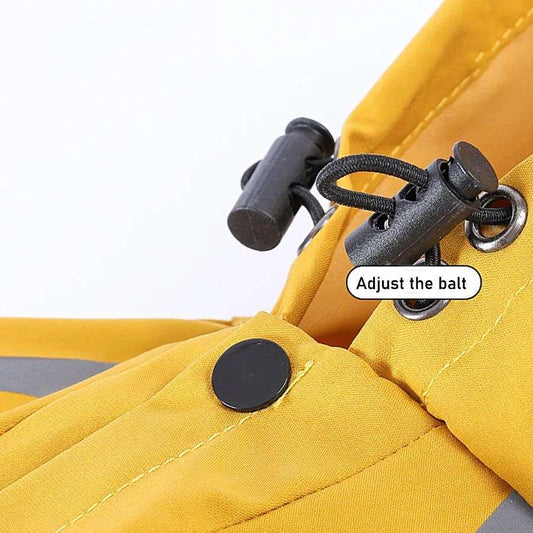 Cute dog in full-body rain gear ready for a rainy walk