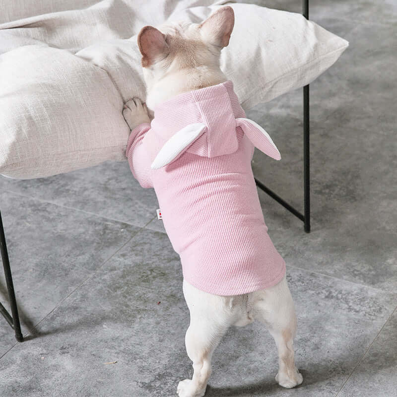 Dog wearing a pink outfit with bunny ears on a concrete floor.