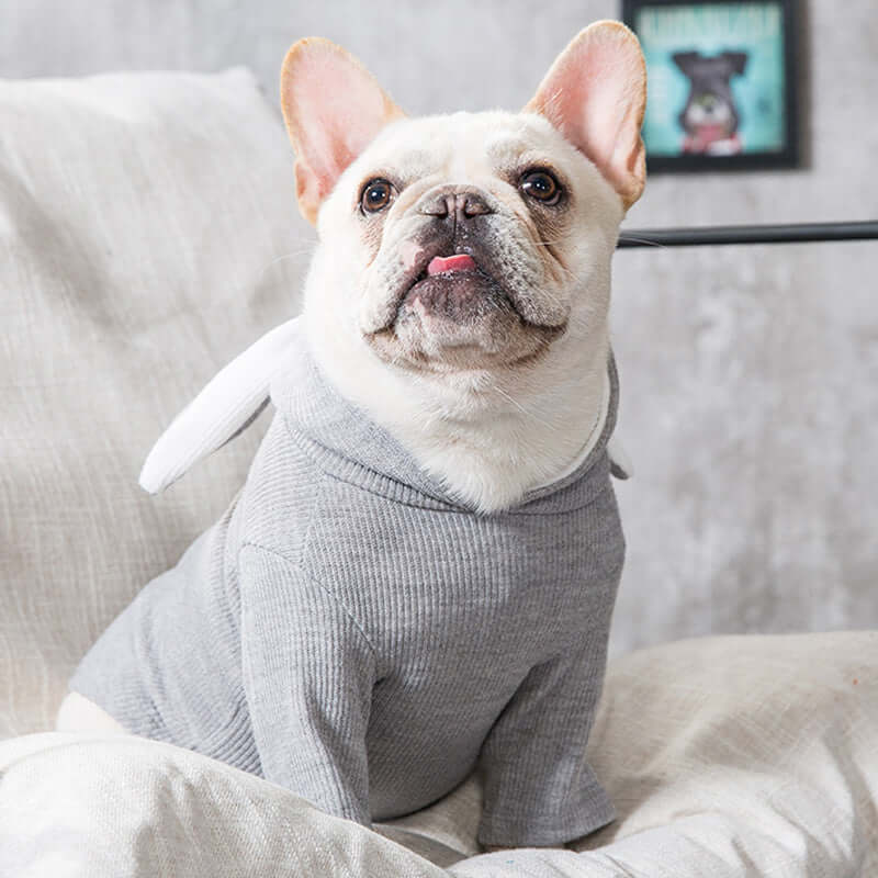 Dog wearing a gray outfit with bunny ears sitting on a couch.