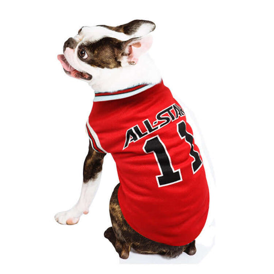 Dog wearing a red 'AllStar' jersey with number 13 on a white background