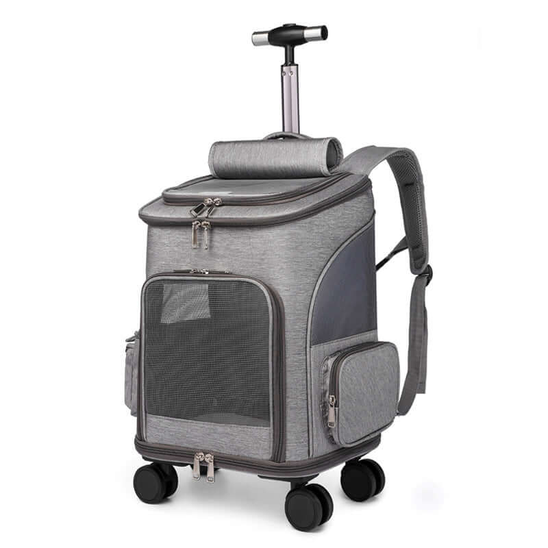 Airline-friendly pet carrier for cats and dogs under 12lbs