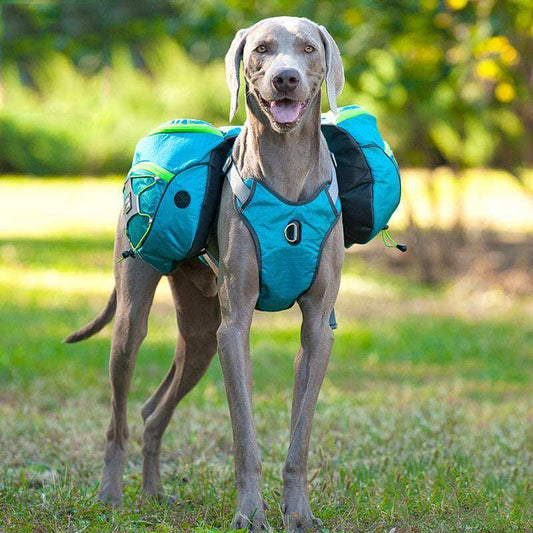 Blue detachable dog backpack with detailed features labeled