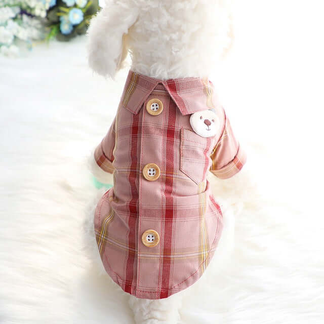 Dog wearing a pink plaid dress with buttons on a white background