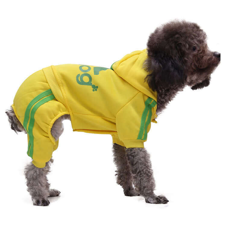 Dog wearing a yellow hoodie with green accents on a white background