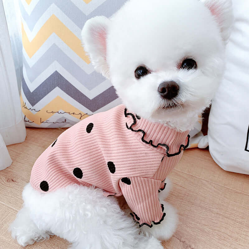 Small white dog wearing a pink sweater with black polka dots on a wooden floor.