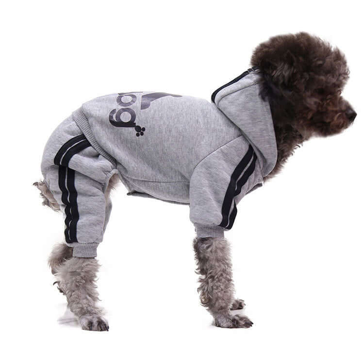 Dog wearing a gray hoodie with black stripes on a white background