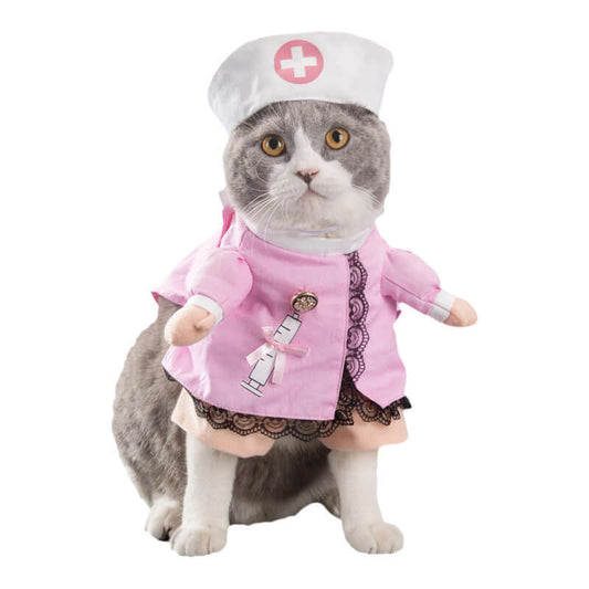 Cat wearing a pink nurse costume with a white hat on a white background