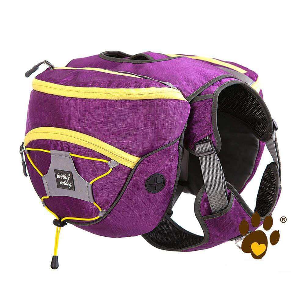 Harness and backpack separated showing product versatility