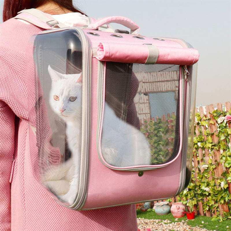 Modern pet carrier backpack with transparent front for travel comfort