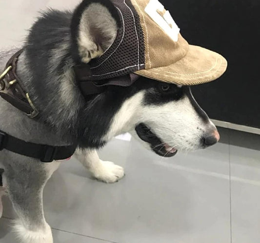 Breathable sports-style pet hat made of soft brown corduroy fabric