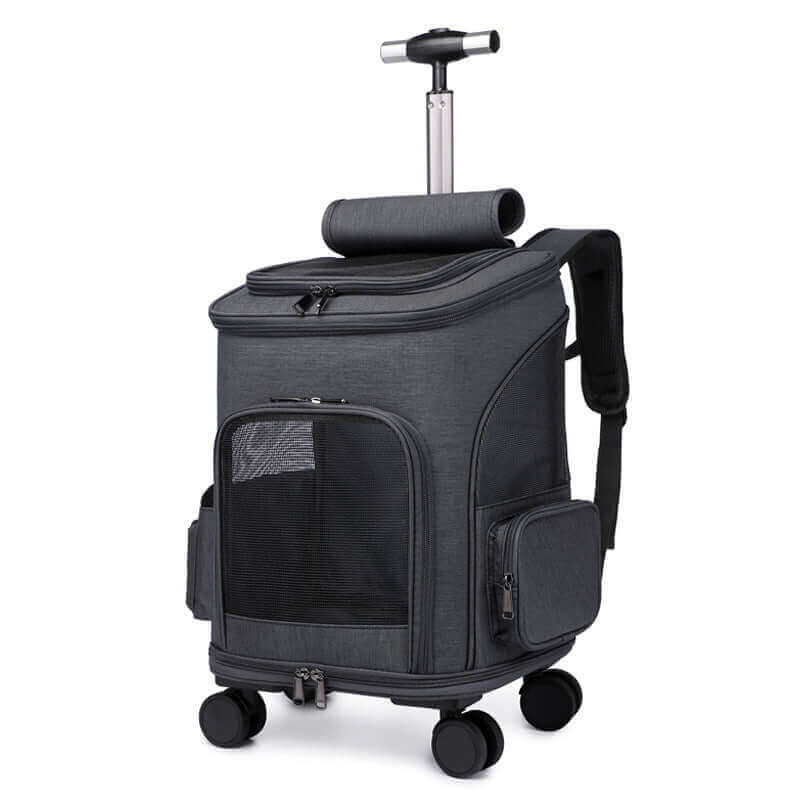 Lightweight trolley-style cat backpack with pull handle