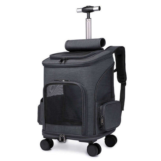 Lightweight trolley-style cat backpack with pull handle