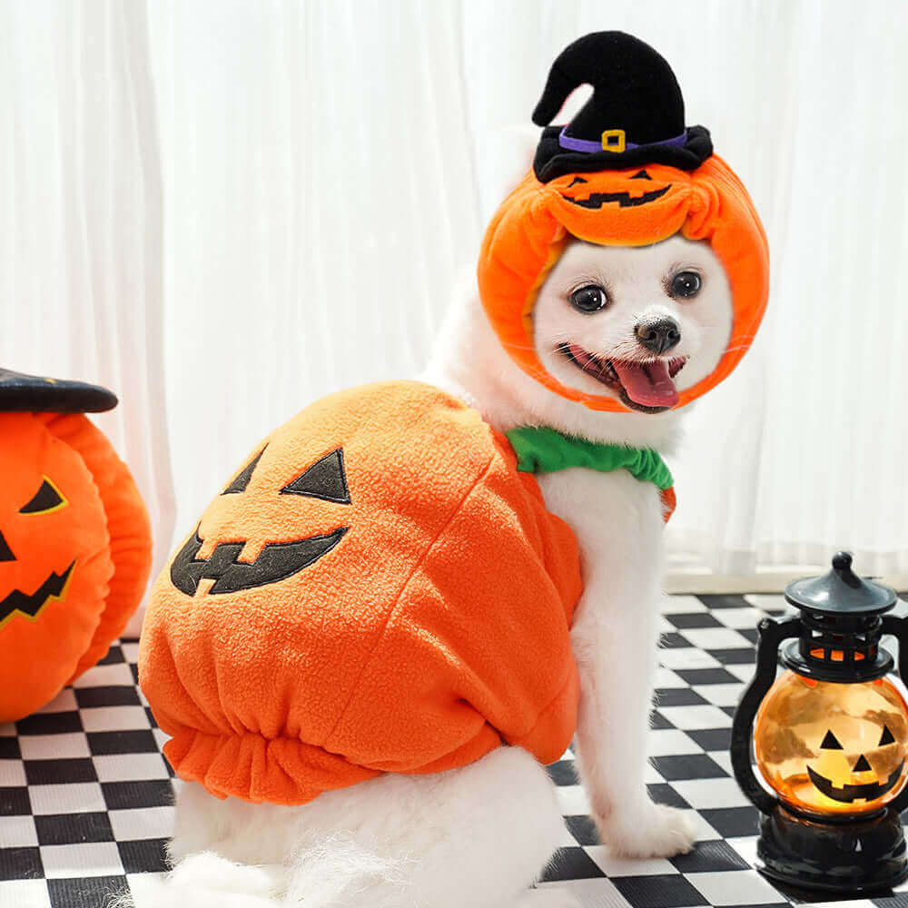 Pet Halloween Pumpikn custome for dogs and cats