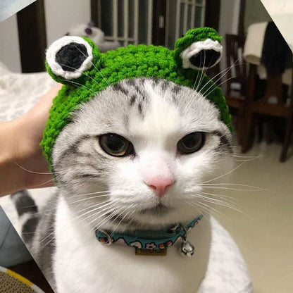 Funny wool animal hat for pets shaped like a frog with googly eyes