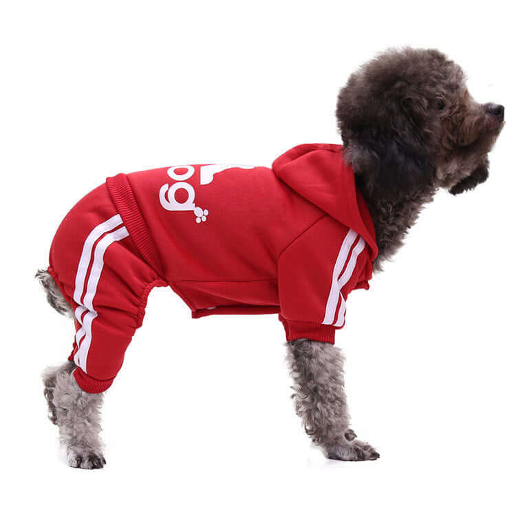 Dog wearing a red hoodie with white stripes on a white background