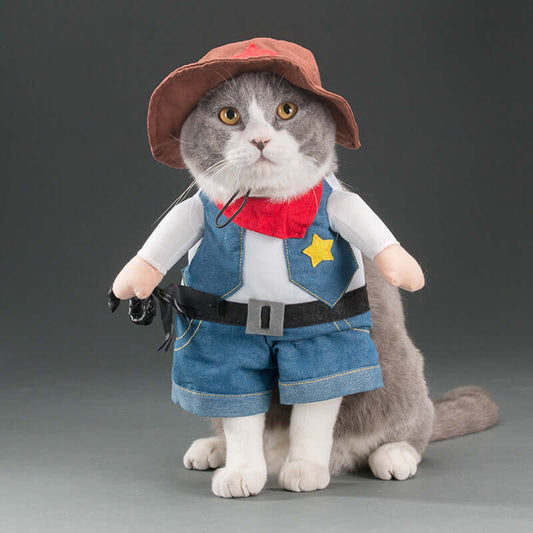 Cat wearing a costume with a hat, vest, and shorts on a gray background