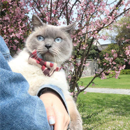 Gray and white cat with bright blue eyes wearing a multicolor camouflage bow tie collar, held outdoors with pink cherry blossoms in the background.