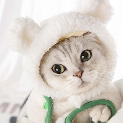 Adorable kitten in a white cartoon bear hat for pets