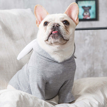 Dog wearing a gray outfit with bunny ears sitting on a couch.