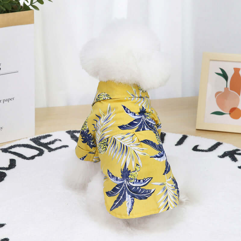 Yellow pet coat with blue leaf pattern on a white surface