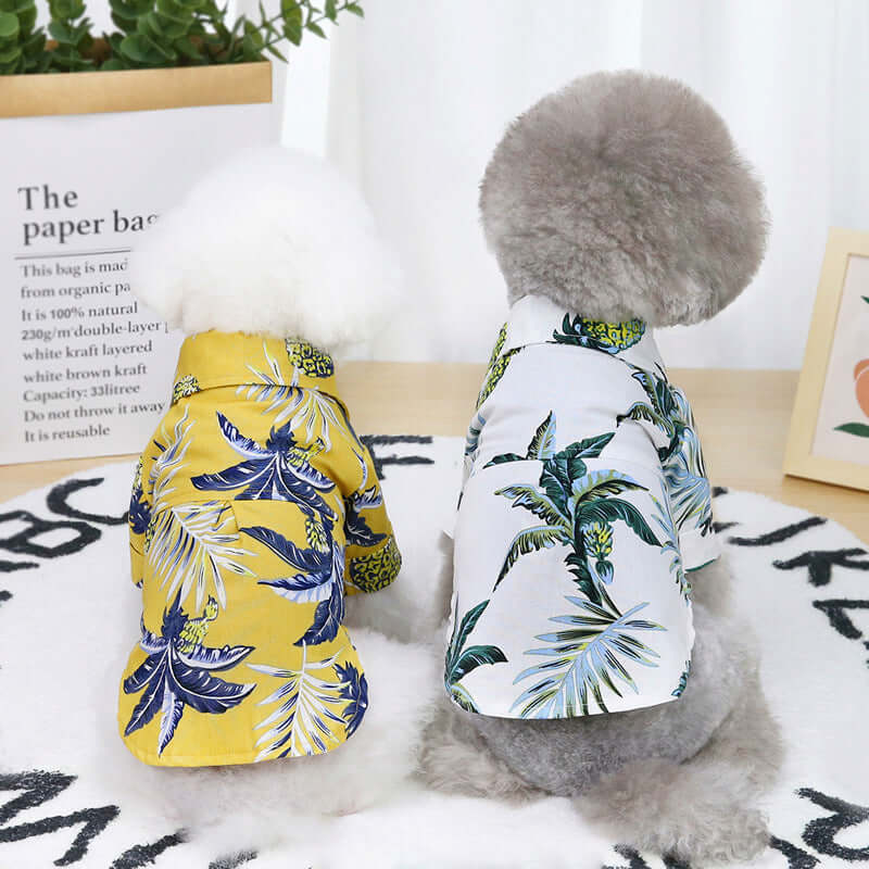 Two small dogs wearing colorful tropical-themed jackets on a white surface.