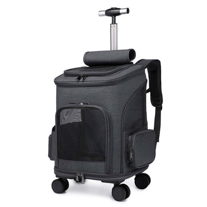 Lightweight trolley-style cat backpack with pull handle