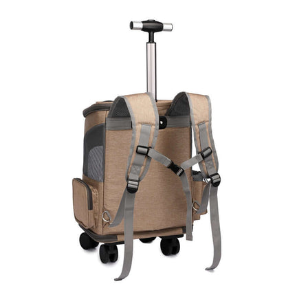 Foldable pet travel carrier with space capsule window design