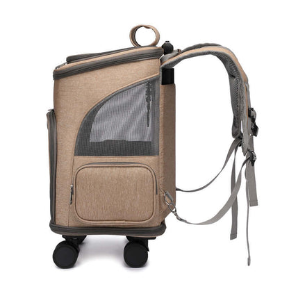 Pet carrier with mesh ventilation and transparent viewing dome