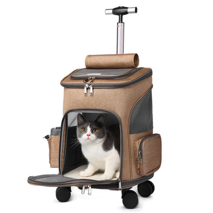 Cat inside a portable trolley pet backpack with wheels