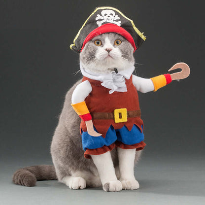 Cat wearing a pirate costume with a gray background