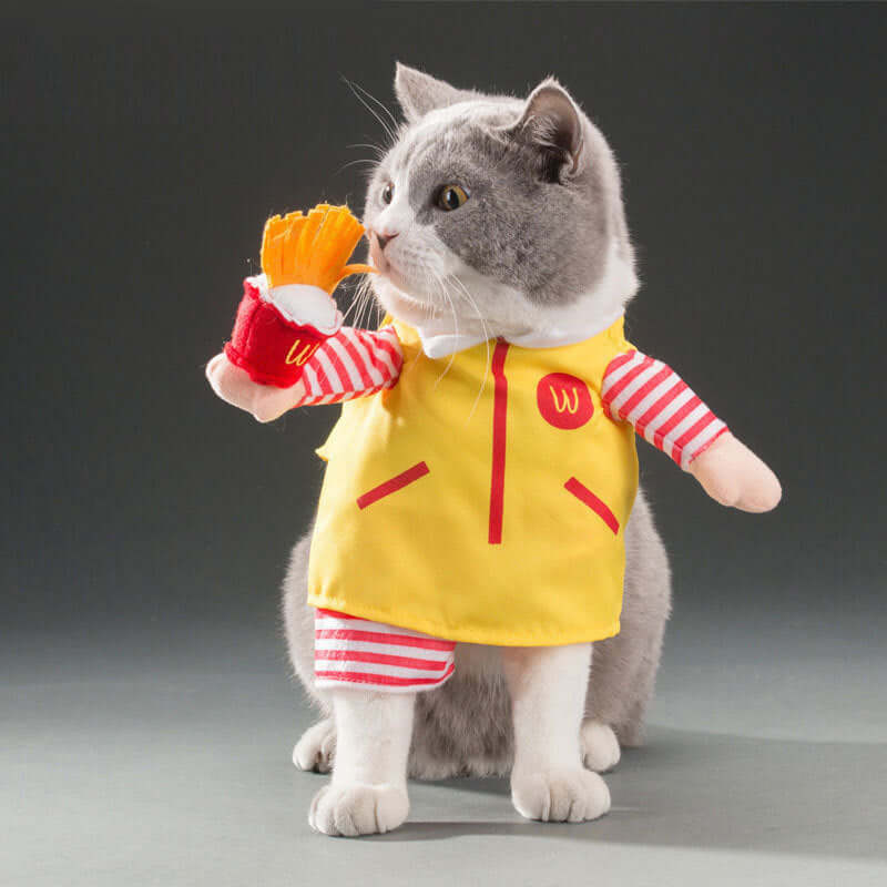 Cat wearing a yellow outfit with red accents, holding a toy, on a gray background