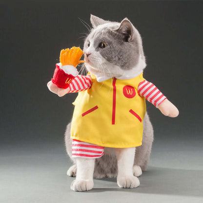 Cat wearing a yellow outfit with red accents, holding a toy, on a gray background