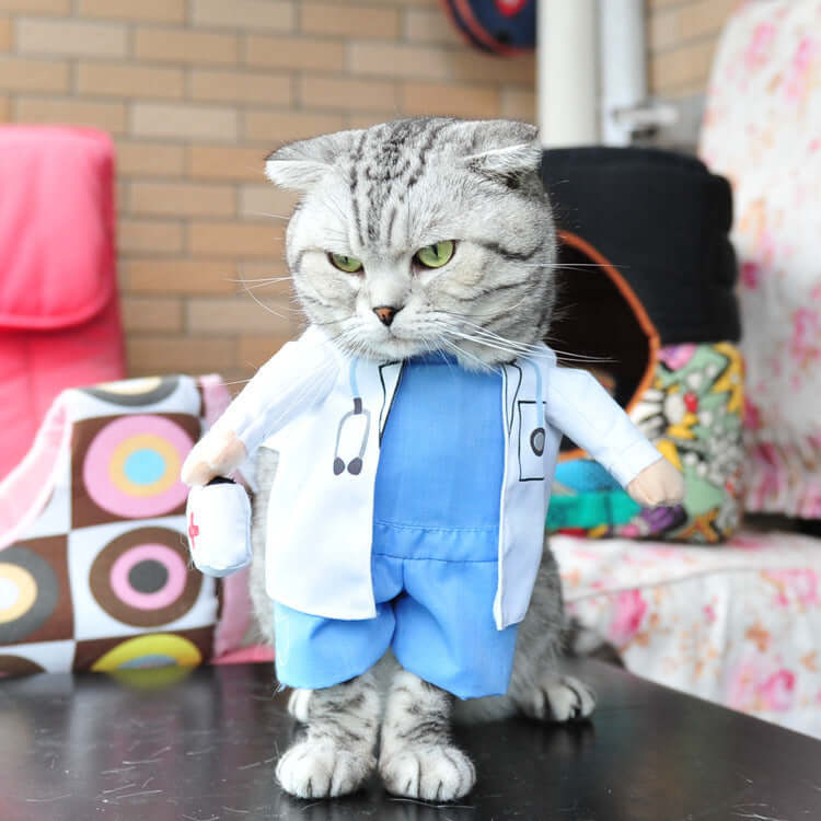 Cat wearing a doctor costume with a stethoscope in a home setting