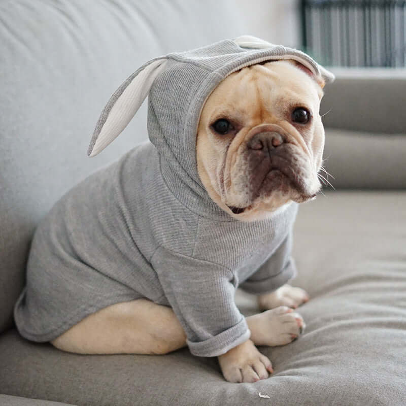 Dog wearing a gray bunny costume sitting on a couch.