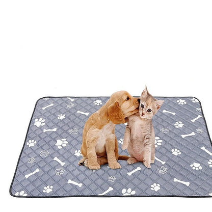 Absorbent washable dog pad with waterproof lining for floor protection.