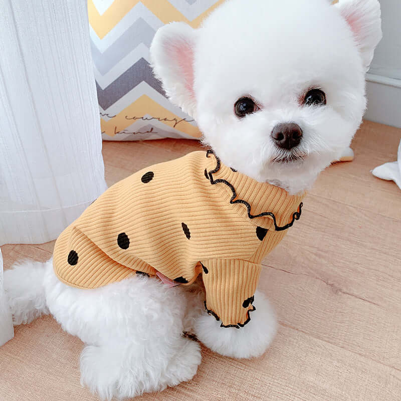 Small white dog wearing a yellow outfit with black polka dots on a wooden floor.