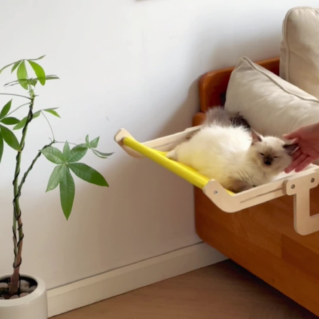 Stylish cat hammock by the window with a Ragdoll cat resting peacefully.