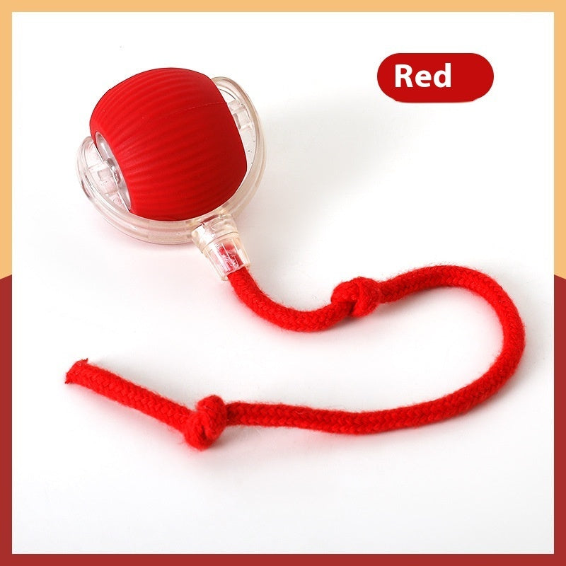 Cat toy ball with chirping sound and red rope tail on white background
