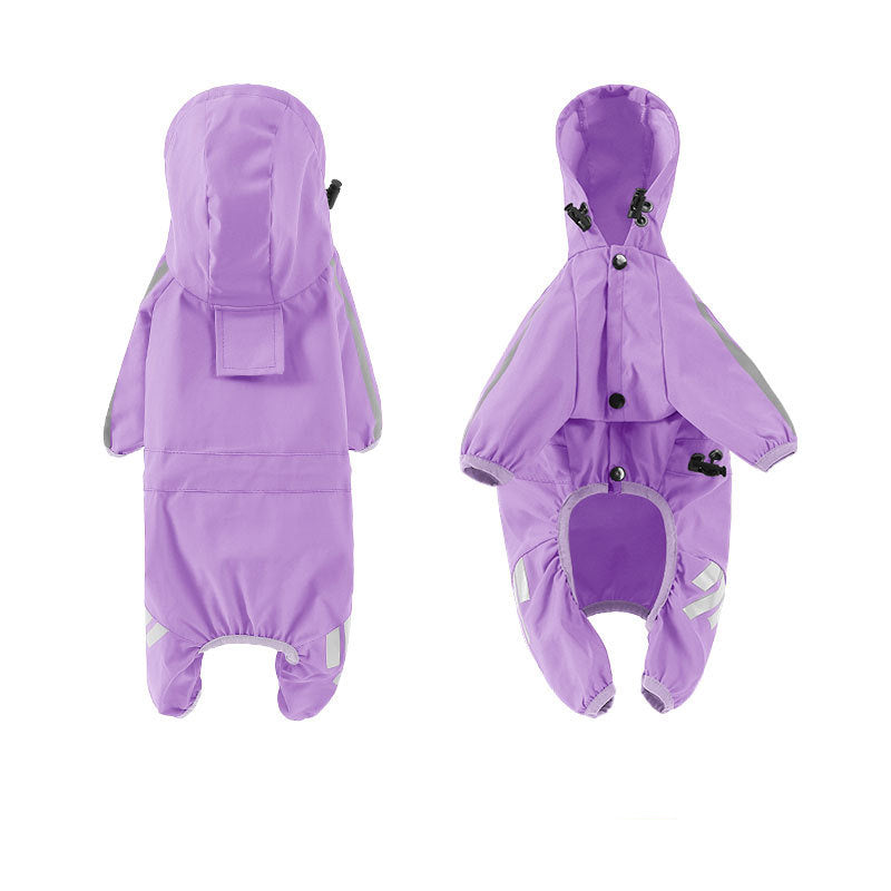 Cute pet raincoat keeping dog dry during a walk