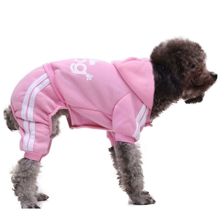 Dog wearing a pink hoodie with white stripes on a white background