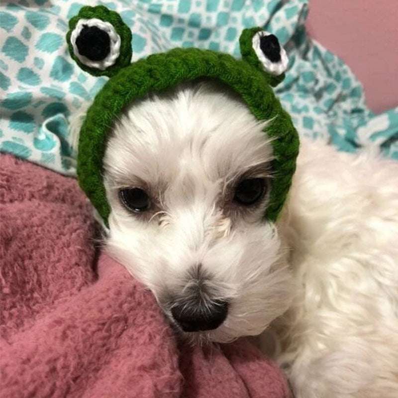 Knitted cartoon frog hat for pets in pullover style, size small