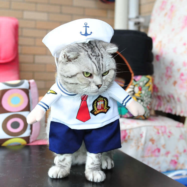 Cat wearing a sailor outfit with a hat and tie, standing on a table.