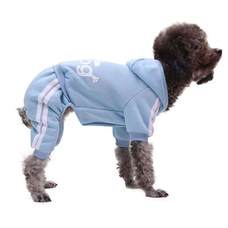 Dog wearing a light blue hoodie with white stripes on a white background