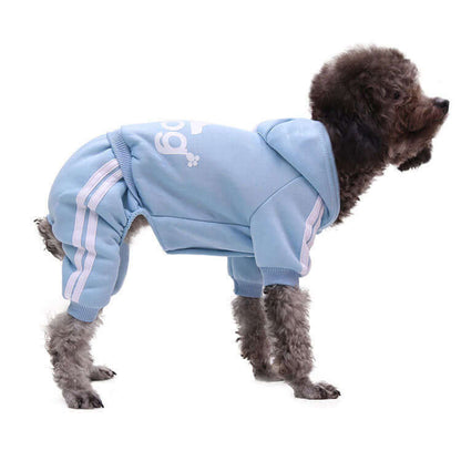 Dog wearing a light blue hoodie with white stripes on a white background