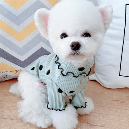 Small white dog wearing a light blue sweater with black polka dots on a wooden floor.