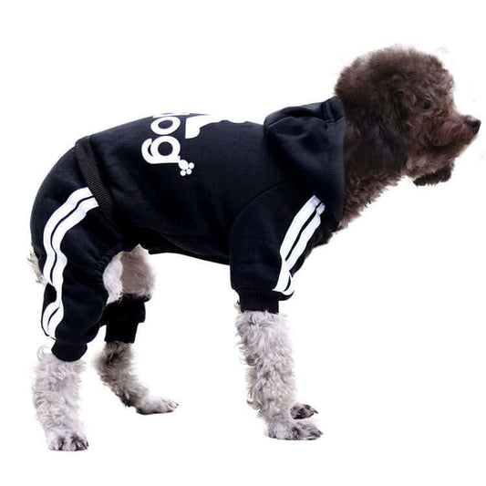 Dog wearing a black hoodie with white stripes on a white background