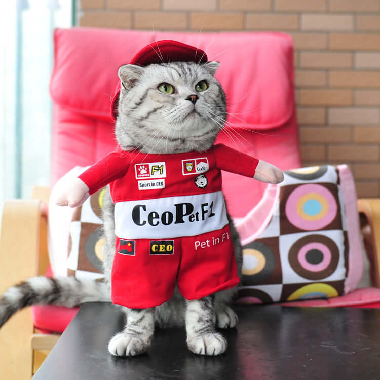 Cat wearing a red outfit with visible branding on a chair.
