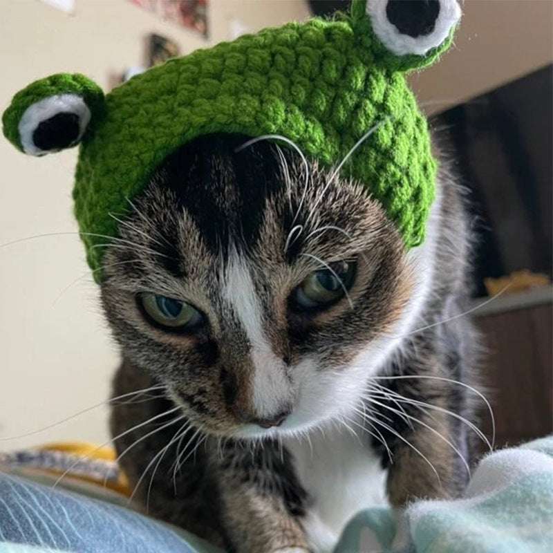 Close-up of green wool frog hat with large 3D eyes for small pets