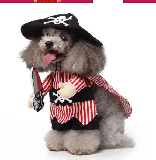 Dog wearing a pirate costume with a hat, shirt, and sword on a white background
