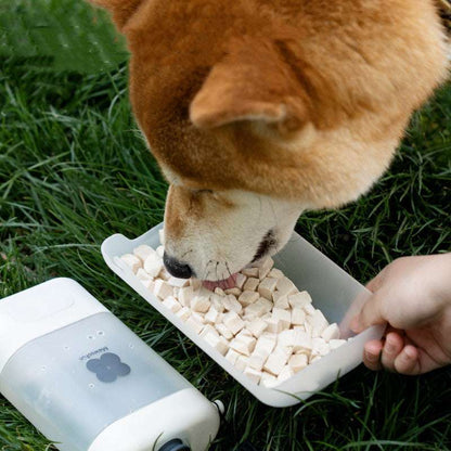 Dog drinking water from Mewoofun portable pet bottle during outdoor walk on grass.